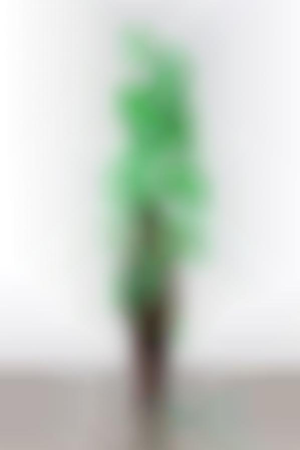 Fleeting Foliage-Shaped Photography