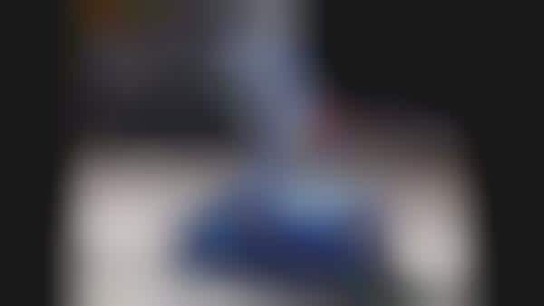 Avian Transportation Gadgets