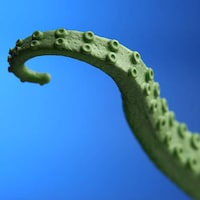 Wriggling Laptop Appendages Image 3