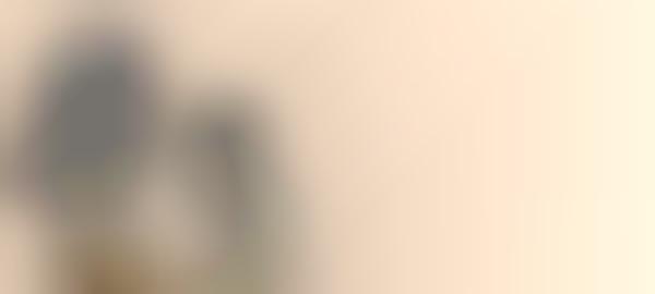 Quaint Creature Portraits (UPDATE)