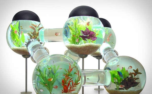 87 Unconventional Aquariums