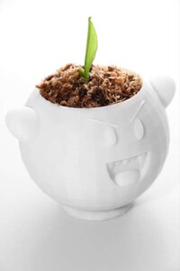 Dimensionally Creative Garden Pots Image 2