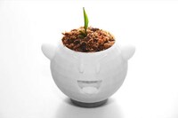 Dimensionally Creative Garden Pots Image 3