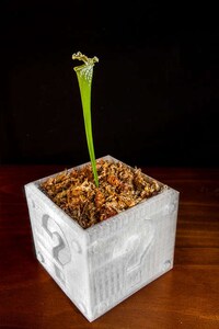 Dimensionally Creative Garden Pots Image 8