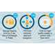 Pristine Online Platform Designs Image 6