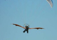 Real-Life Fire-Breathing Dragons Image 2