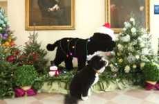 Merry Presidential Pooch Videos