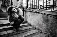 Fur-Focused Photoshoots Image 6