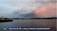 Pet Firework Funerals Image 3