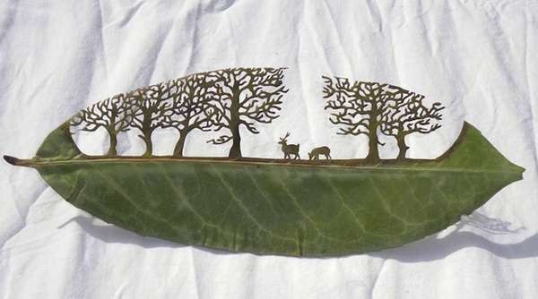 21 Fantastic Foliage Art Designs