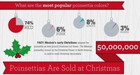 Festive Floral Facts Image 2