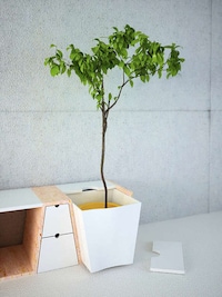 Planter-Embedded Bookshelves Image 2