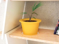 Planter-Embedded Bookshelves Image 4