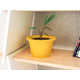 Planter-Embedded Bookshelves Image 4