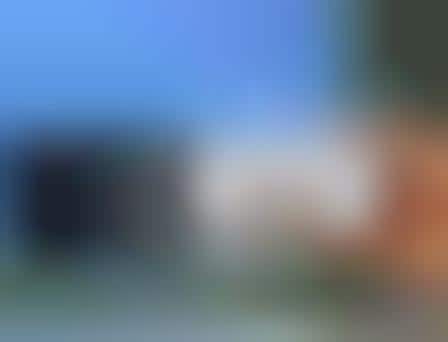 Flipping Photographic Devices