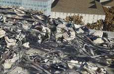 Devastated Transit Terminals