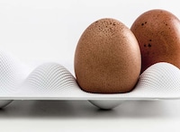 Sculptural Egg Casings Image 6