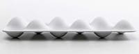 Sculptural Egg Casings Image 7