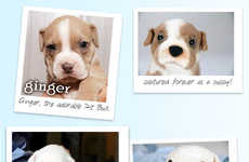 Charitable Plush Dog Replicas