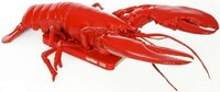 Crustacean Smartphone Cases Image 3