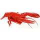 Crustacean Smartphone Cases Image 3