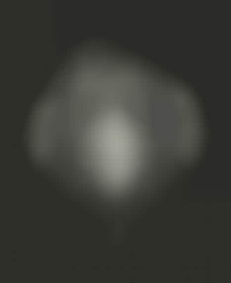 Jailbreak Monkey Portraits