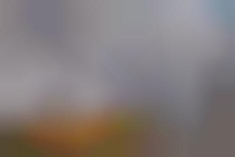 Enormous Oceanic Murals