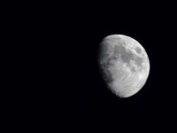 Cosmic Wildlife Photography Image 3