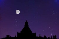 Cosmic Wildlife Photography Image 5