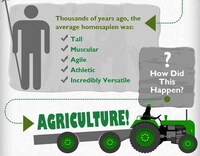 Caveman Diet Infographics Image 3