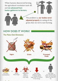 Caveman Diet Infographics Image 4