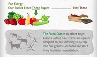Caveman Diet Infographics Image 5