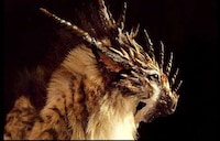 Fantasy Creature Taxidermy Image 7