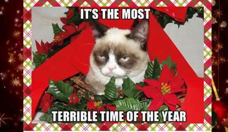 Festive Meme Reflection Videos