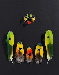 Avian-Inspired Feather Art Image 2