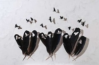 Avian-Inspired Feather Art Image 3