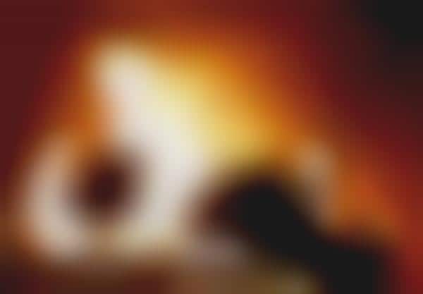 Digitized Christmas Fires
