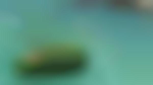 Futile Fruit Vessels