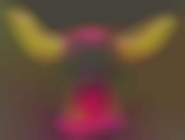 Demonic Winter Masks