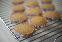 Sweet Toggle Treats Image 6