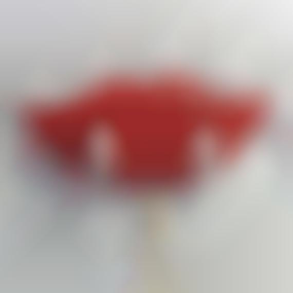 Vampire-Infused Photo Props
