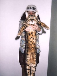 Feline Foodie Photography Image 7