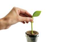Sprouting Tea Infusers