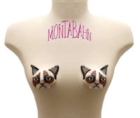 Risqué Grumpy Cat Pasties Image 2