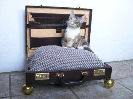 72 Delightful Pet Beds