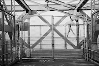 Delicate Ballerina Photography (UPDATE) Image 5
