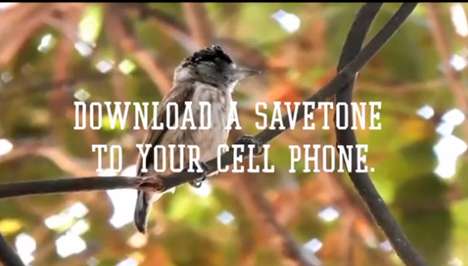 Brazilian Bird Ringtones