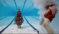 Travelling Christmas Tree Ads Image 2