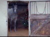 Travelling Christmas Tree Ads Image 5