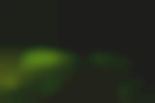 Glowing LED Installations